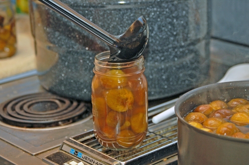 Canning fig preserves